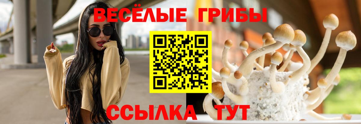Псилоцибиновые грибы мицелий Кимовск